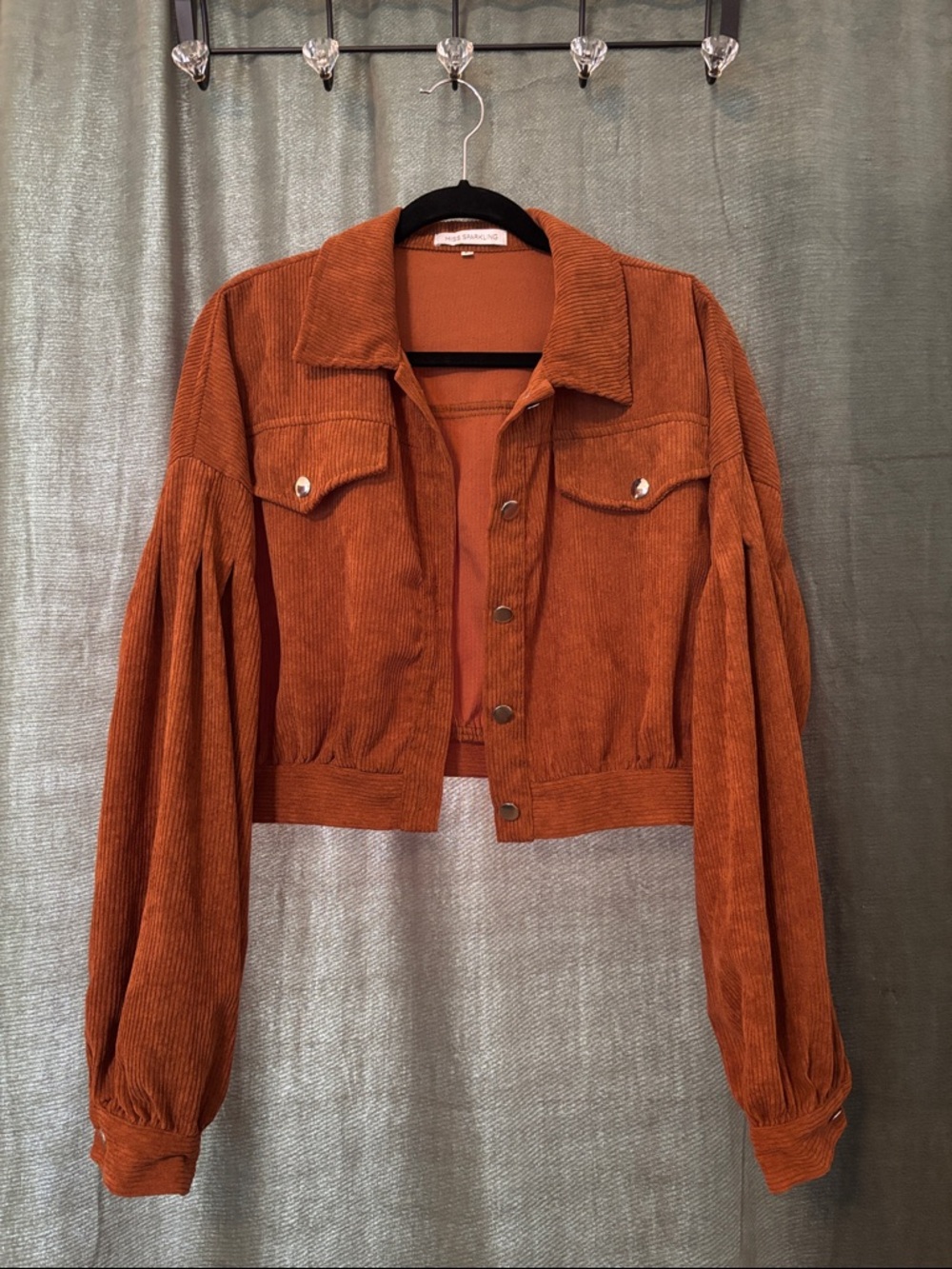 Cropped Rust Corduroy Jacket with Balloon Sleeves